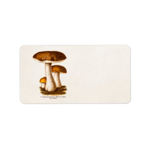 Étiquette Champignon vintage des années 1800 Champignon Brow