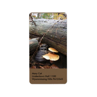 Étiquette Champignons forestiers #3