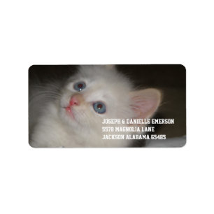Étiquette Chaton précieux