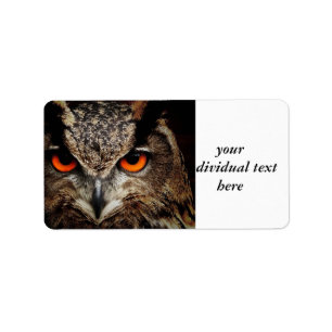 Étiquette chercheurs regardant le hibou