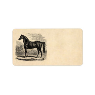 Étiquette Cheval vintage de 1800s - modèle de cavalier de