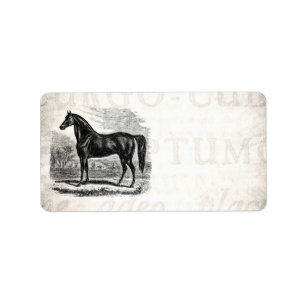 Étiquette Cheval vintage de 1800s - modèle de cavalier de