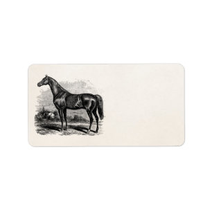 Étiquette Chevaux vintages de pur sang de cheval de course