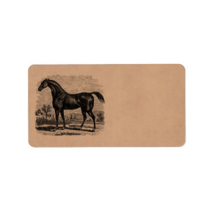Étiquette Chevaux vintages de pur sang de cheval de course