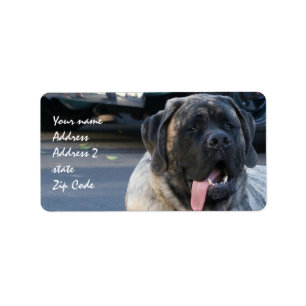 Étiquette Chien Brindle de mastiff