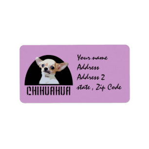 Étiquette Chien de chiwawa
