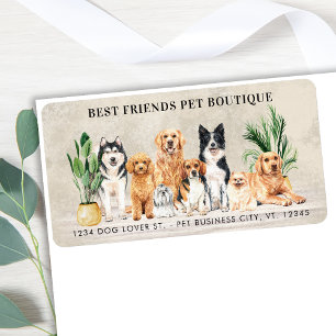 Étiquette Chien Groomer Animaux de compagnie Chiens de mario