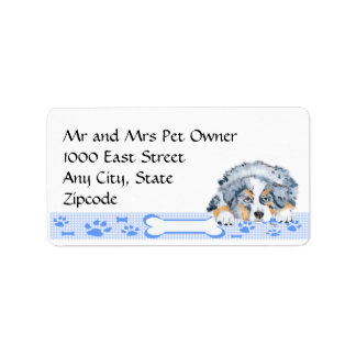 Étiquette Chiot bleu Merle Aussie sur En vichy bleu