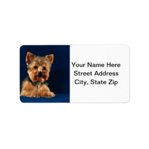 Étiquette Chiot de Yorkshire Terrier