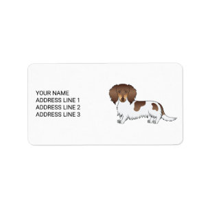 Étiquette Chocolat & Tan Piebald cheveux longs Dachshund & T