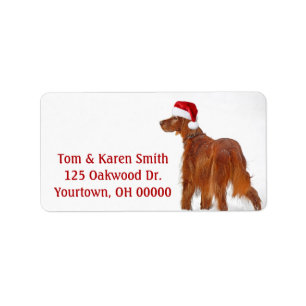 Étiquette Christmas Irish Setter