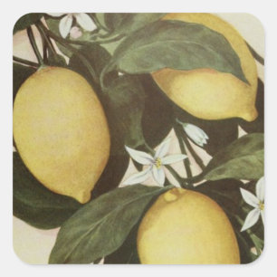 Étiquette citron