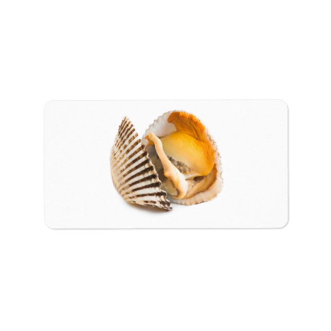 Étiquette Coquille (Devant)