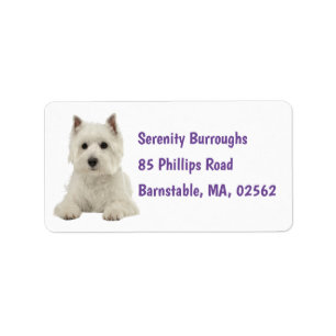 Étiquette Cute Westie White Chien Chien Chien Chien West Hig