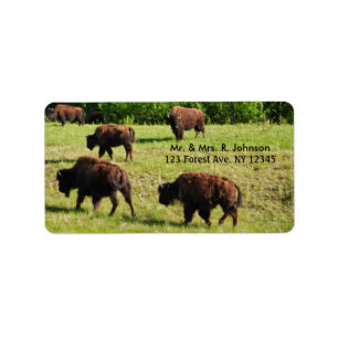 Étiquette d'adresse de Bison en liberté