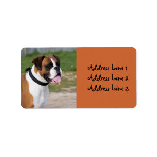 Étiquette d'adresse de photo de chien Boxer