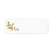 Étiquette d'adresse de retour au barberry aquarell