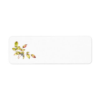 Étiquette d'adresse de retour au barberry aquarell