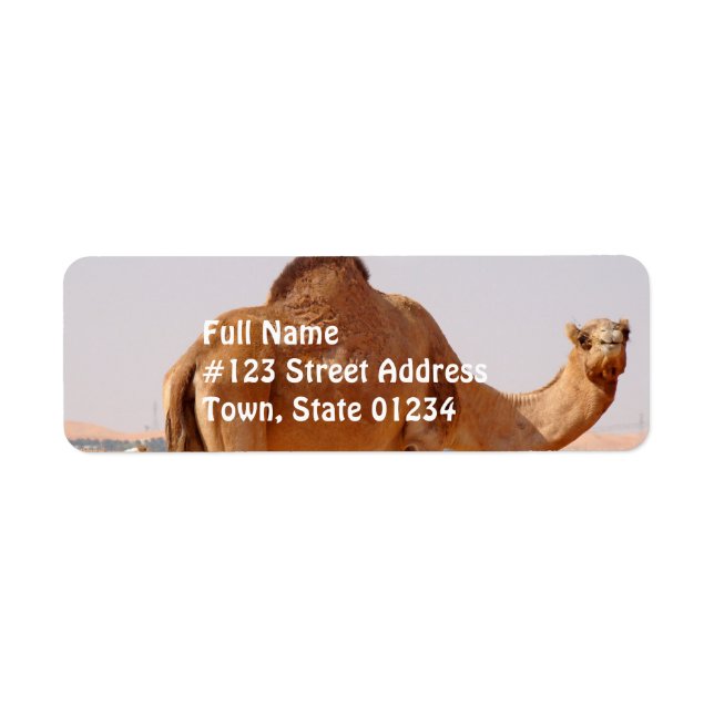 Étiquette d'adresse de retour Camel for Arabes (Devant)