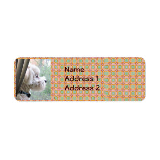 étiquette d'adresse de retour de bichon poodle