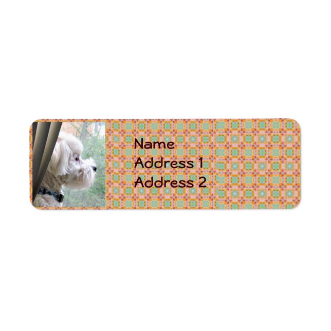étiquette d'adresse de retour de bichon poodle (Devant)