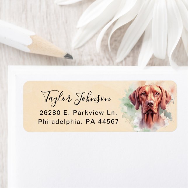 Étiquette d'adresse de retour de chien Vizsla (En situation)