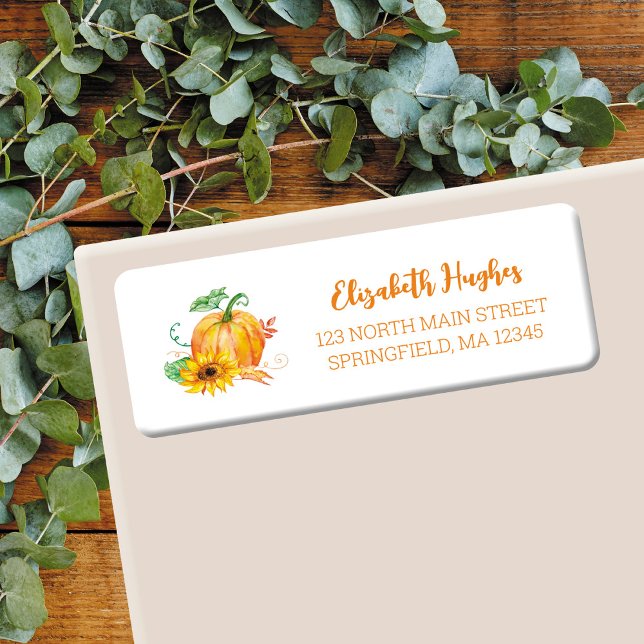 Étiquette d'adresse de retour de citrouille d'aqua (Créateur téléchargé)