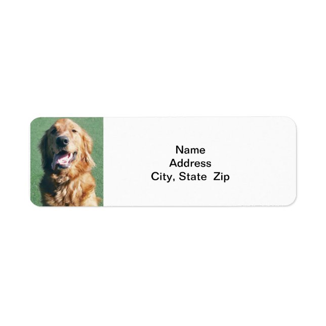 Étiquette d'adresse de retour, Golden Retriever (Devant)