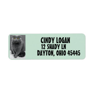 Étiquette d'adresse de retour GRAY CAT CUTE