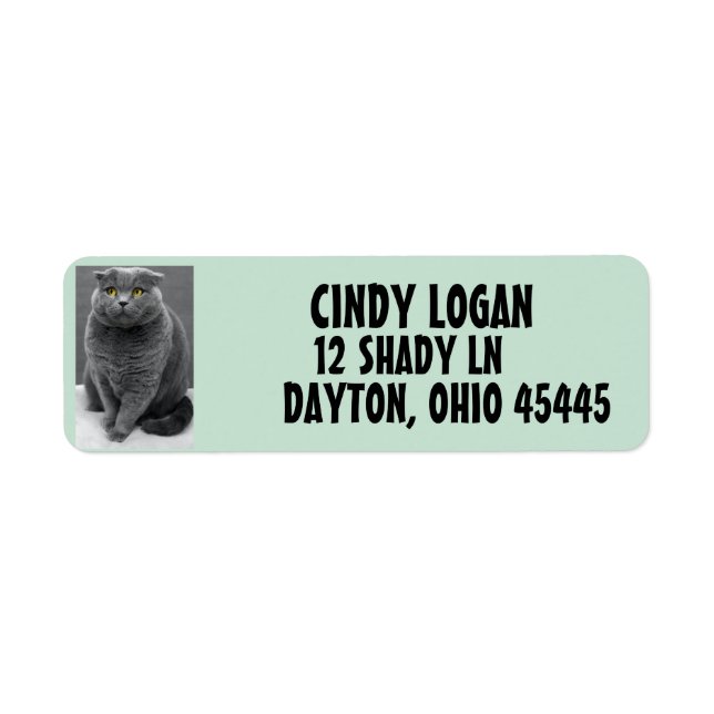 Étiquette d'adresse de retour GRAY CAT CUTE (Devant)