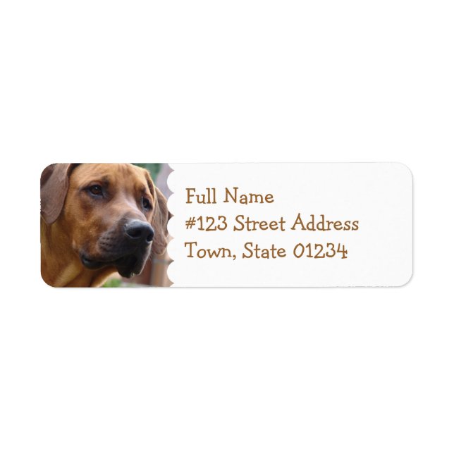Étiquette d'adresse de retour Rhodesian Ridgeback (Devant)