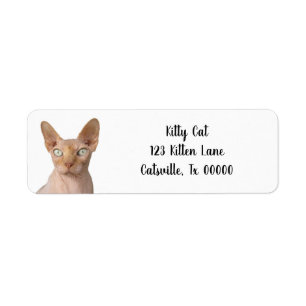 Étiquette d'adresse de retour Sphynx Cat sans chev