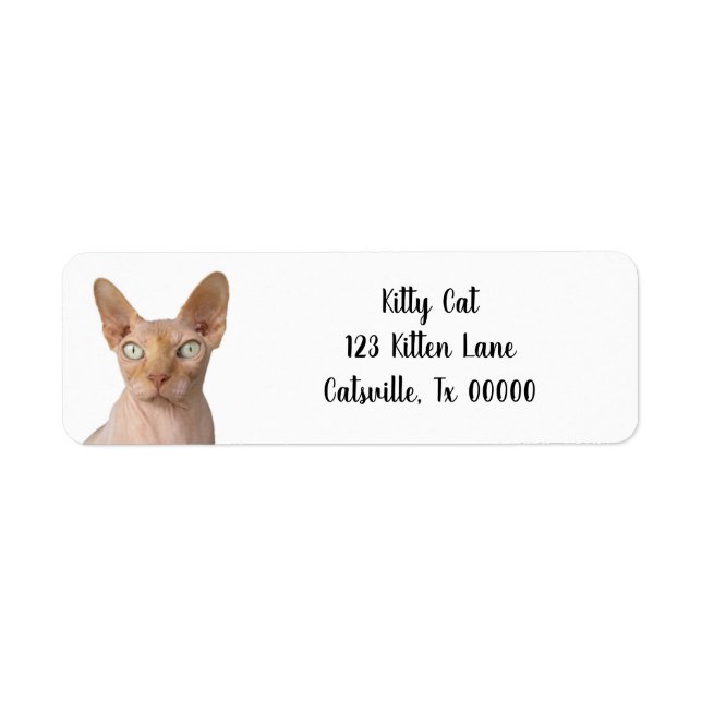 Étiquette d'adresse de retour Sphynx Cat sans chev (Devant)