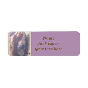 Étiquette de adresse Basset Hound