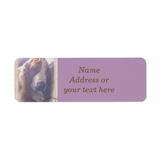 Étiquette de adresse Basset Hound (Devant)