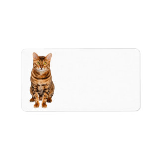 Étiquette de adresse Bengal Kitten personnalisable