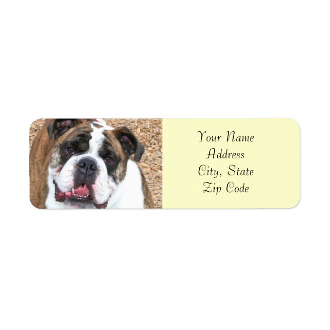 Étiquette de adresse de bulldog anglais (Devant)