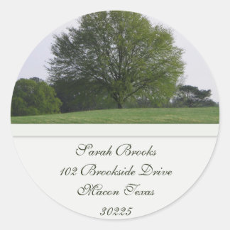 Étiquette de adresse de chêne d'eau