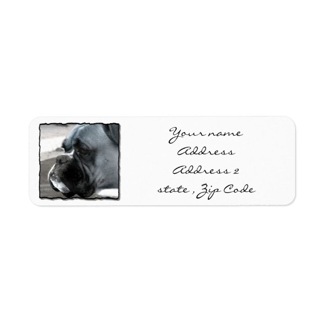 Étiquette de adresse de chien de boîte (Devant)
