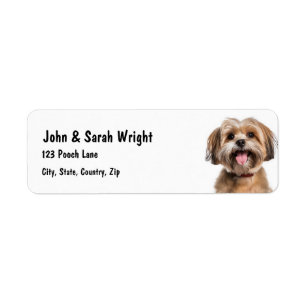 Étiquette de adresse de chien Havanais personnalis