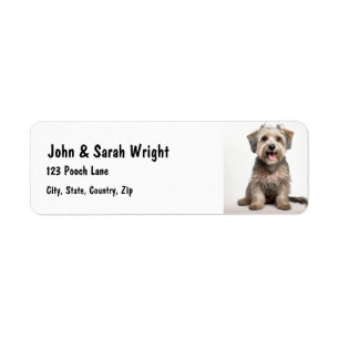 Étiquette de adresse de chien Lhasa Apso