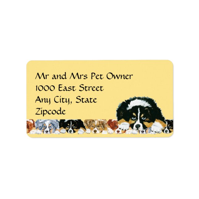 Étiquette de adresse de chiot australien (Devant)
