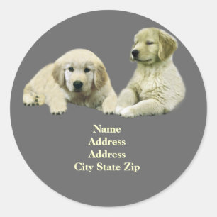 Étiquette de adresse de chiot de golden retriever