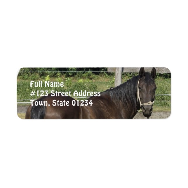 Étiquette de adresse de Dark Bay Thoroughbred (Devant)