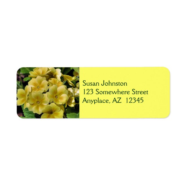 Étiquette de adresse de fleurs de Primrose jaune (Devant)
