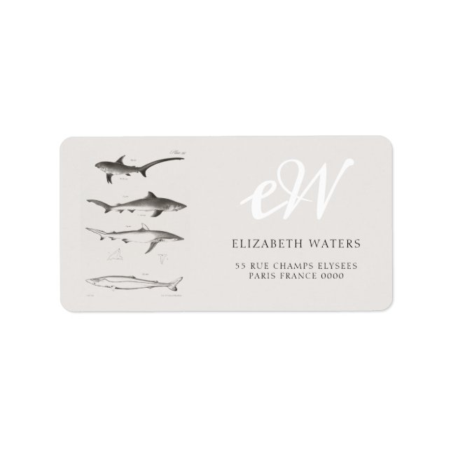 ÉTIQUETTE DE ADRESSE DE GRAPHIQUE vintage SHARD IL (Devant)