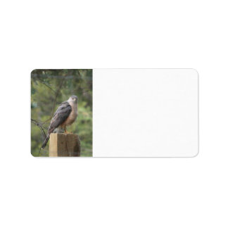 Étiquette de adresse de la Hawk de Cooper