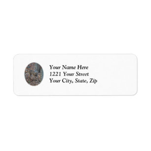 Étiquette de adresse de la série Whitetail Deer Sp