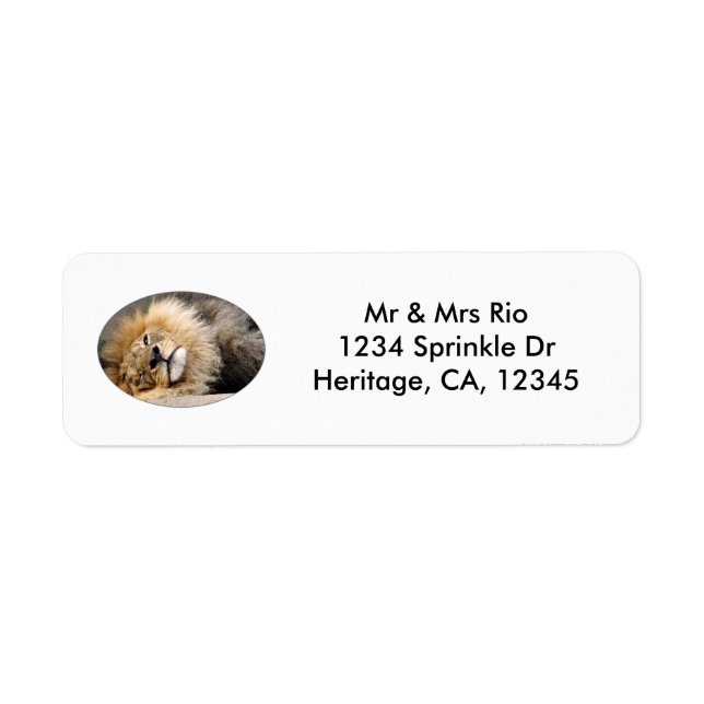 Étiquette de adresse de l'évier Lion endormi (Devant)