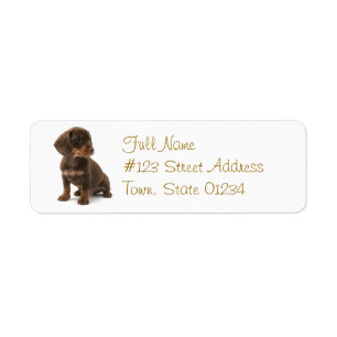 Étiquette de adresse de retour de chien de